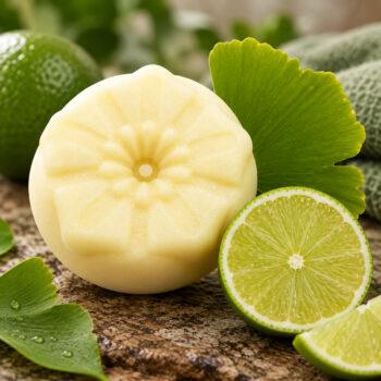 Körperbutter Ginkgo Limette